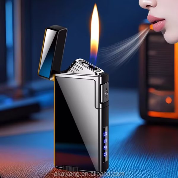 Dual Gas and Electric Lighter with voice controler and sensor